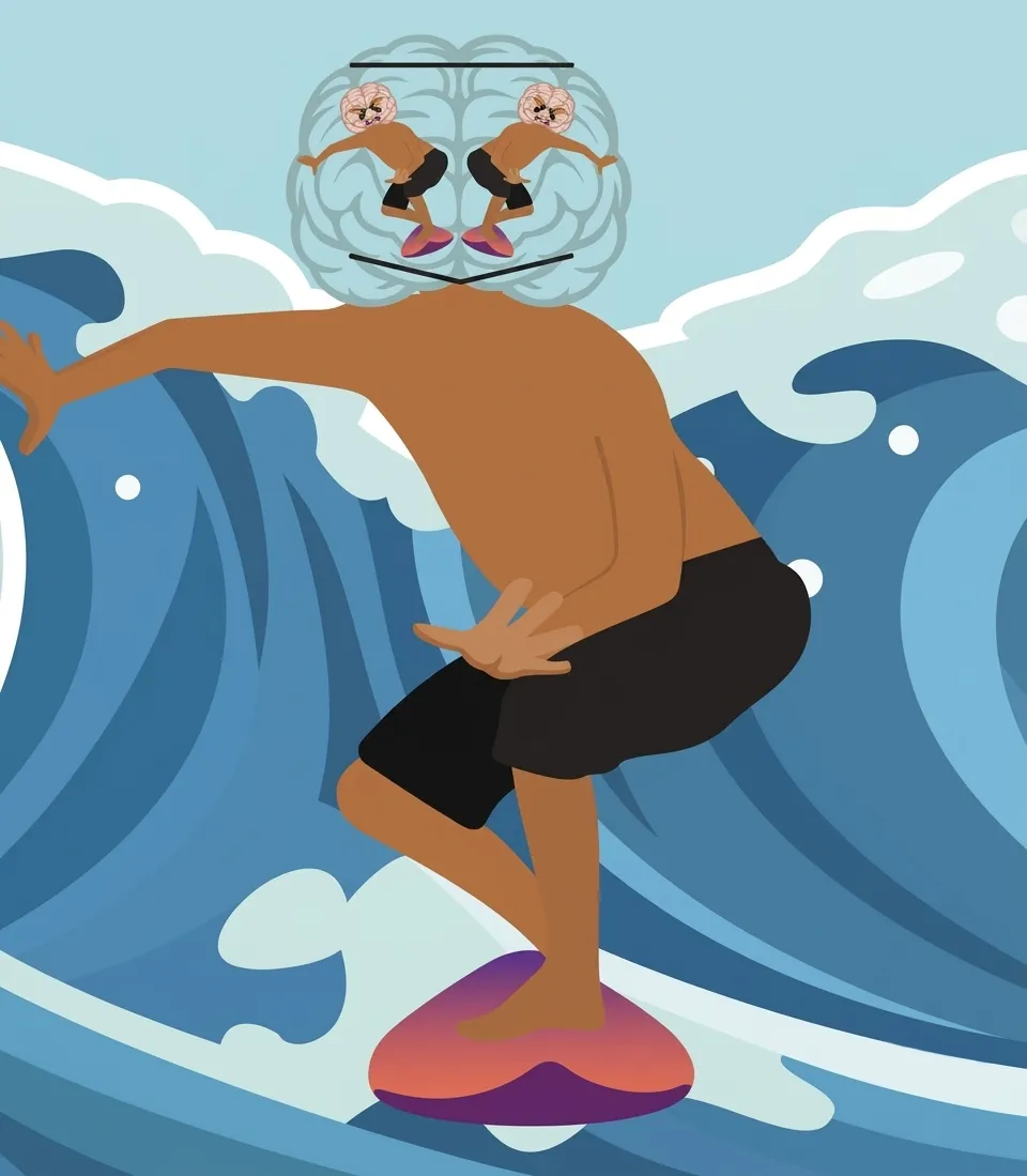 The Science of Consciousness 2026 — San Diego · Paradise Point